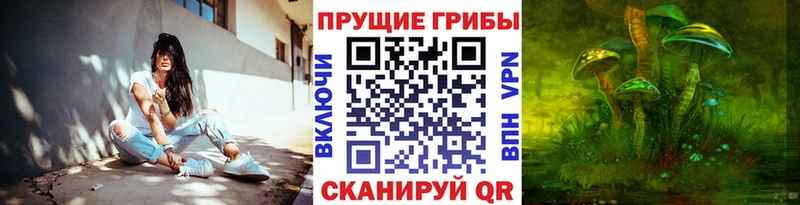 Псилоцибиновые грибы Magic Shrooms  Купить закладки  Дивногорск 